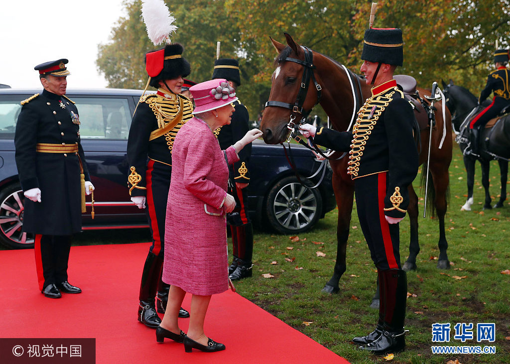 当地时间2017年10月19日，英国伦敦，女王伊丽莎白二世检阅英国国王御用皇家骑炮兵，纪念其成立70周年。***_***Queen Elizabeth II meets her former racehorse Knock Castle in Hyde Park in London, to mark the 70th anniversary of the King&apos;s Troop Royal Horse Artillery.