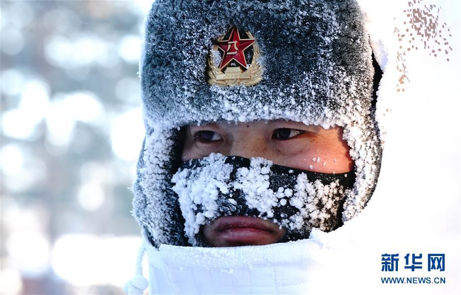 （新春走基层·图文互动）（6）北极哨兵：挺立在风雪中的“北极杨” 
