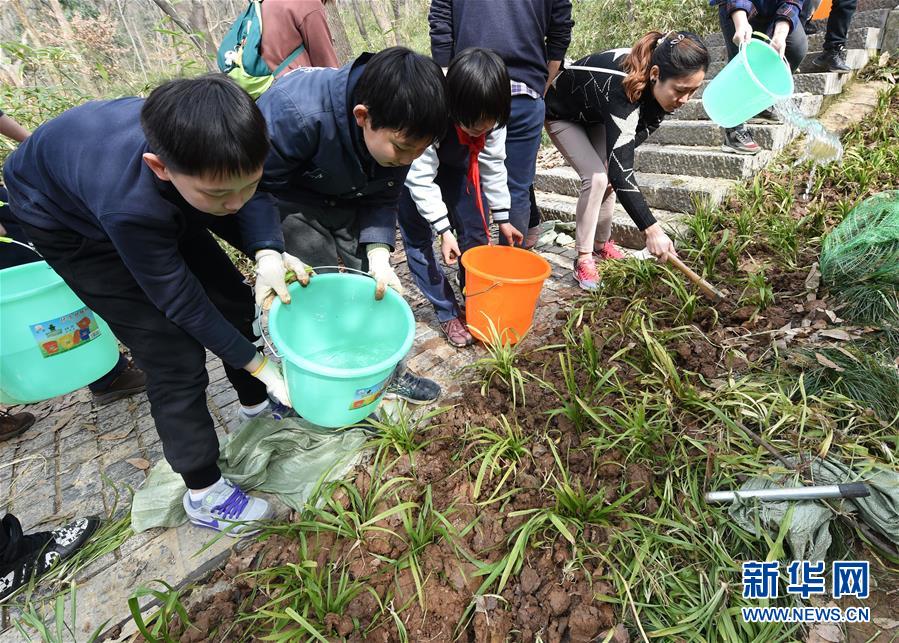 （环境）（3）南京开展紫金山登山道沿线生态复绿活动