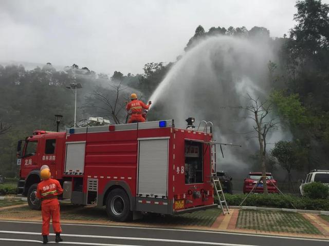 不通知时间、地点和内容龙岗区应急管理局开展森林防火“双盲”演练
