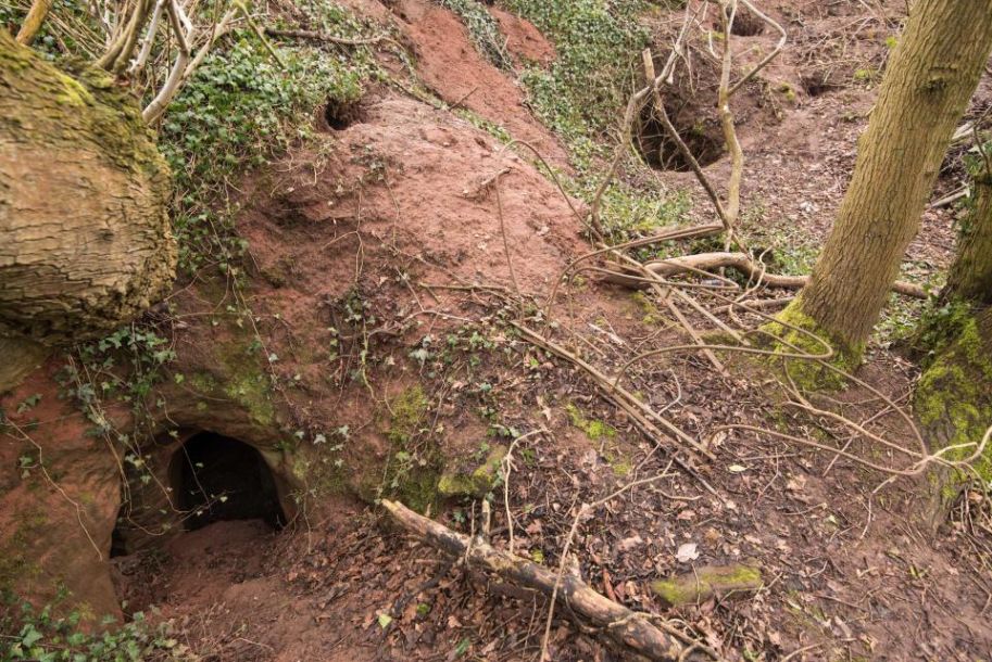 别有洞天:兔子洞通往700年前文化遗址